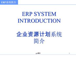 ERP-系统简介ppt课件
