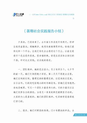 暑期社会实践报告小结