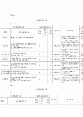 风险和机遇评估表