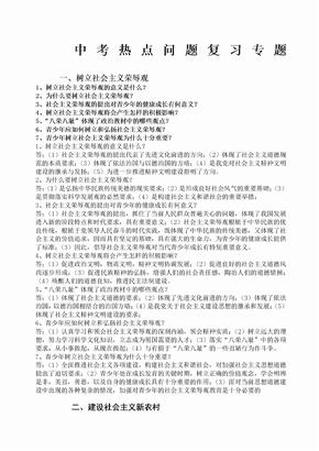 中考政治热点问题复习专题