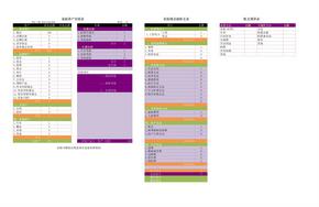 家庭资产负债表 现金流收支表 收支预算表