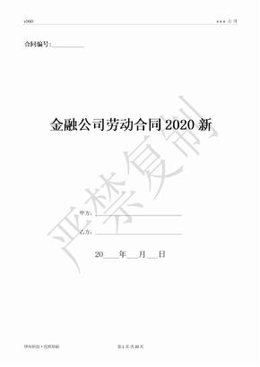 金融公司劳动合同2020新-(优质文档)