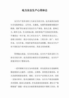 电力安全生产心得体会