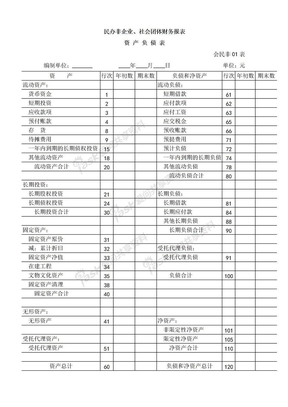 社会团体财务报表