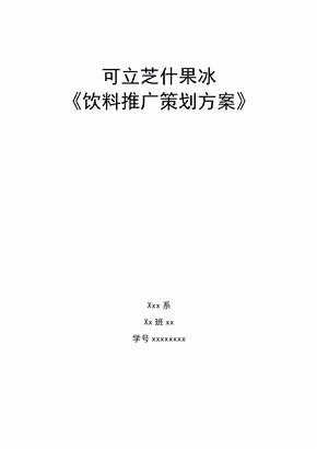 某果汁饮料推广策划方案