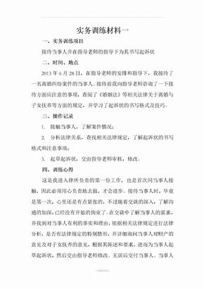 律师实务训练材料