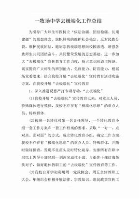 去极端化工作总结