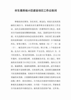 市生猪养殖小区建设项目工作会致词