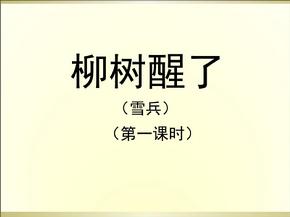 柳树醒了教学课件1