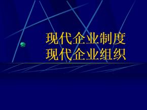 现代企业制度现代企业组织