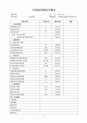 专用电信网统计年报表