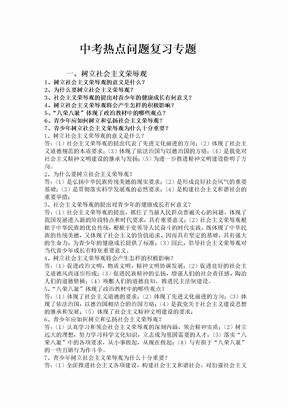 中考政治热点问题复习专题