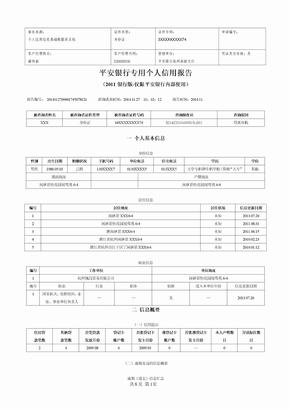 个人信用报告模板