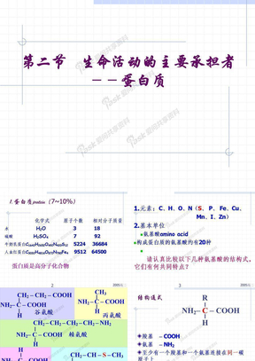 22蛋白质