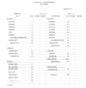 社会团体财务报表