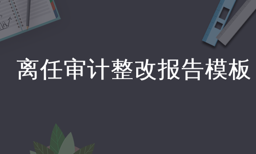 离任审计整改报告模板