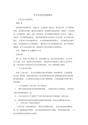 小學生社會實踐報告