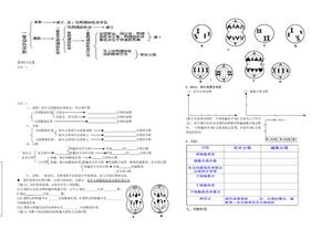 减数分裂和受精作用学案3