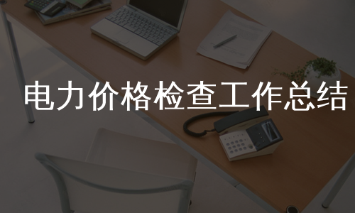 电力价格检查工作总结