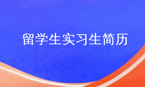 留学生实习生简历