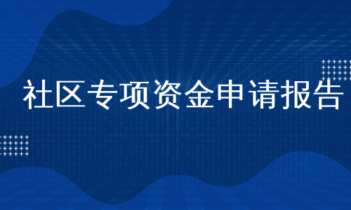 社区专项资金申请报告