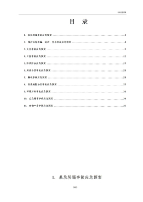 专项应急预案预案