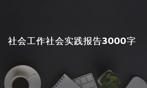 社会工作社会实践报告3000字