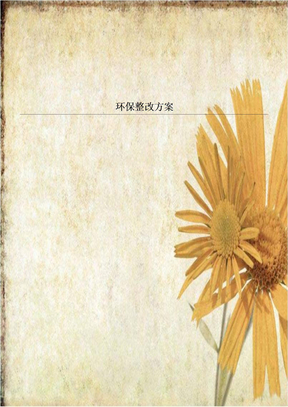 环保整改方案