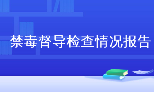 禁毒督导检查情况报告