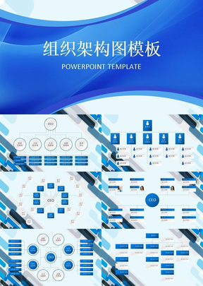 公司组织架构