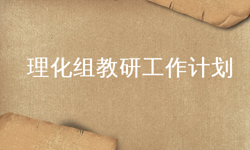 理化组教研工作计划