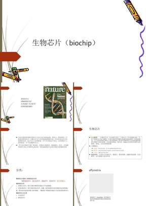 生物芯片biochip报告