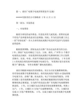 电视广告策划方案