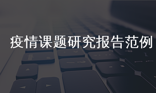 疫情课题研究报告范例