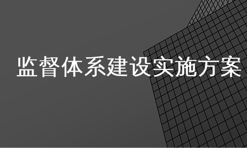 监督体系建设实施方案