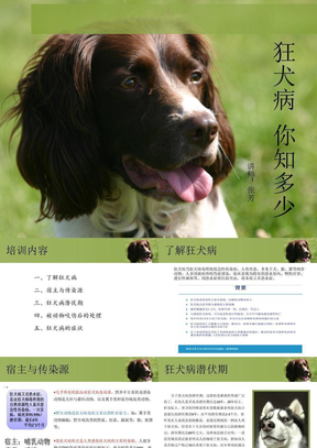 狂犬病预防培训课程ppt课件