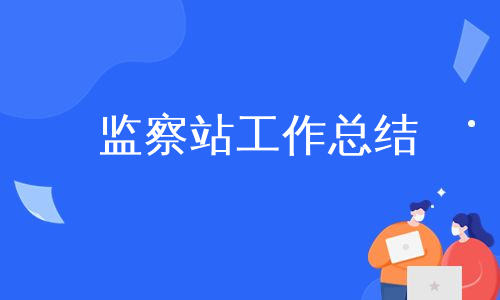 监察站工作总结
