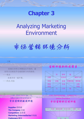 市场营销学——营销环境分析