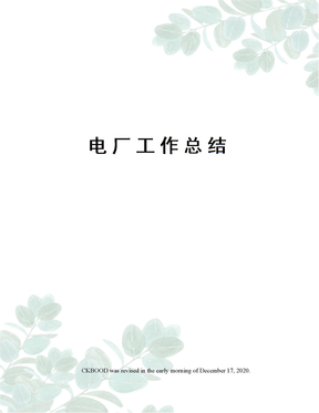 电厂工作总结