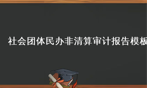 社会团体民办非清算审计报告模板