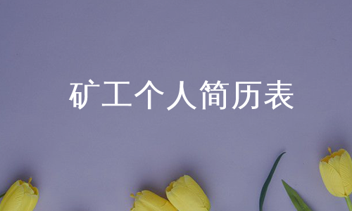 矿工个人简历表