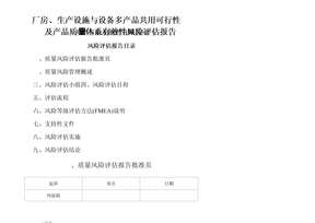 风险分析评估报告