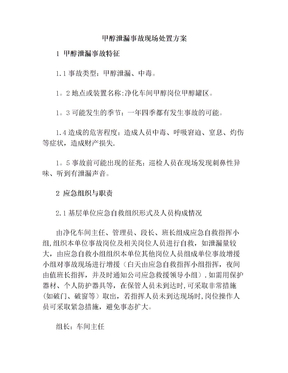 甲醇泄漏事故现场处置方案