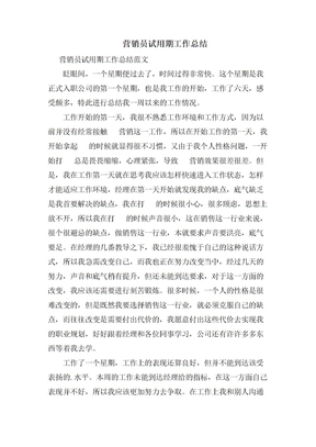 电话营销员试用期工作总结