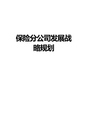 保险分公司发展战略规划