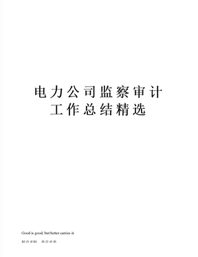 电力公司监察审计工作总结精选