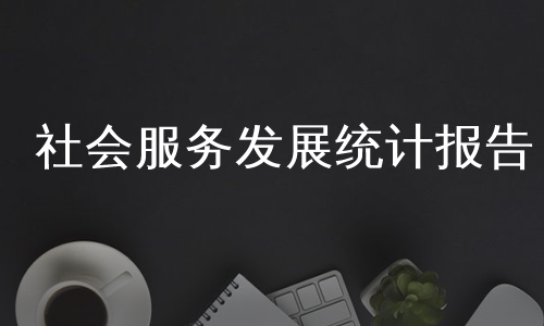 社会服务发展统计报告