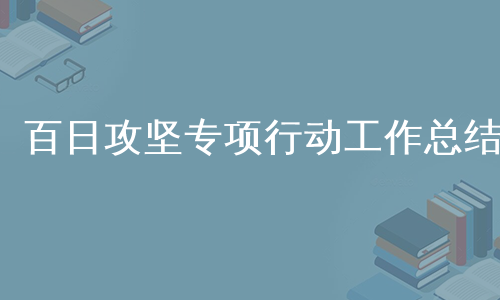 百日攻坚专项行动工作总结