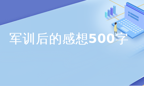 军训后的感想500字