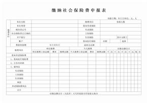 缴纳社会保险费申报表